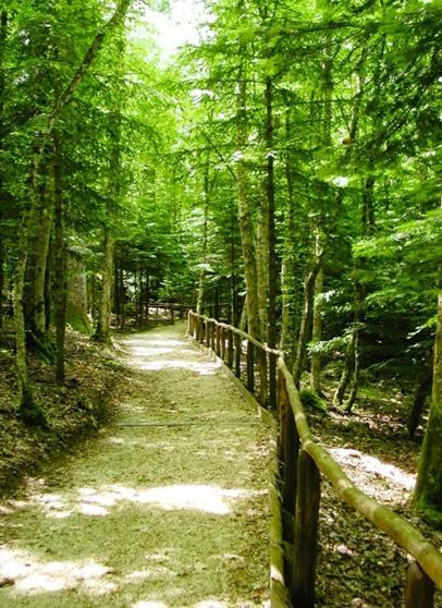 B & B Il Tratturo San Pietro Avellana Εξωτερικό φωτογραφία